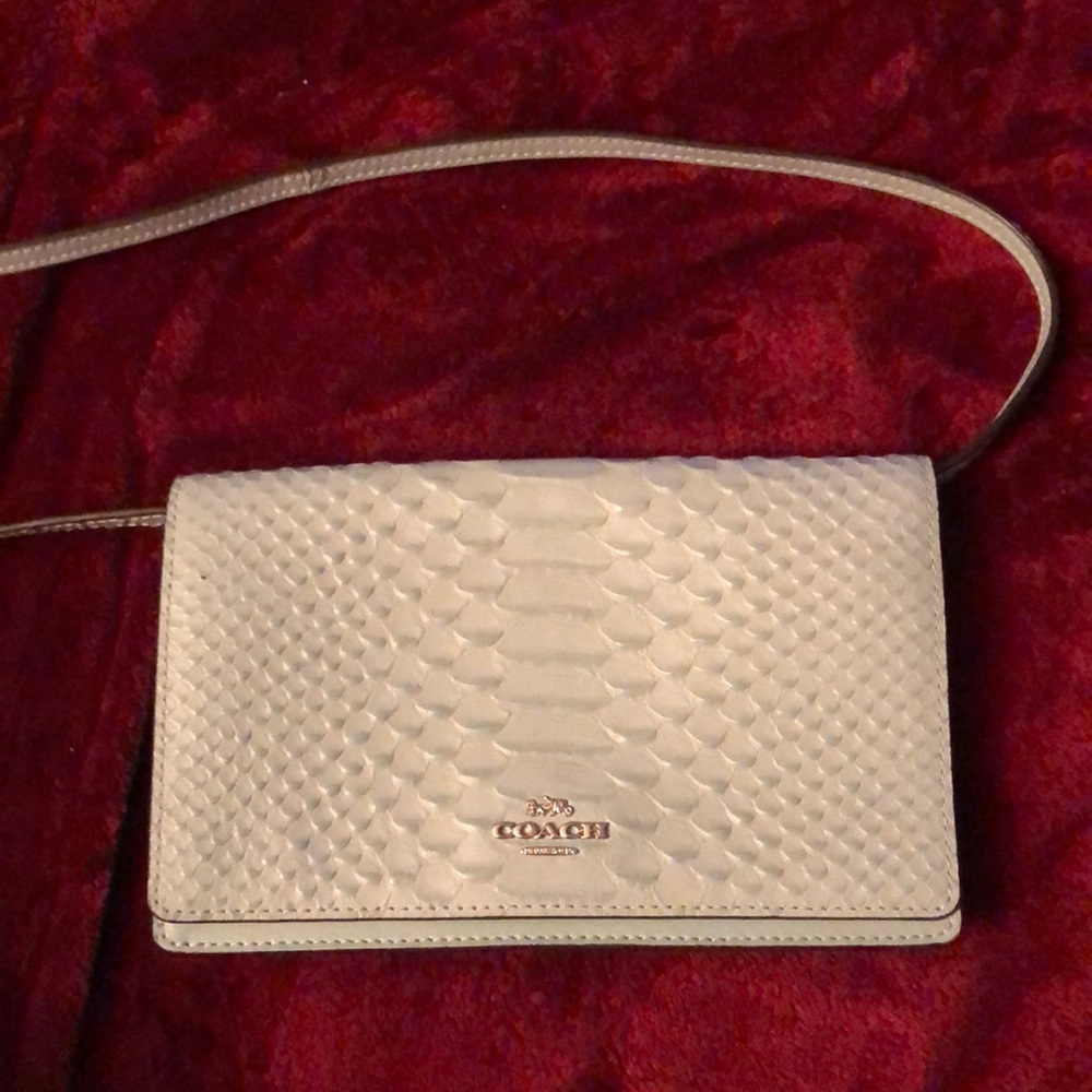 Coach Pale Blue Clutch/Purse With Optional Strap. NWOT Never Used!!